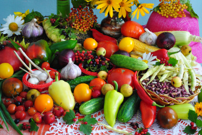 Огородная палитра