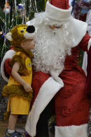 Новый 2019 год.