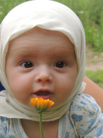 Знакомство с природой