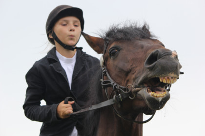 Жизнь на коне