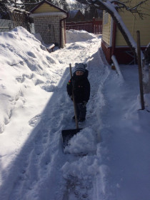 Помогает деду!