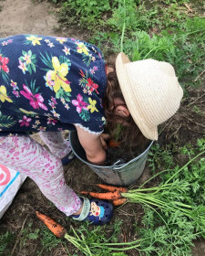 Софа моет морковку