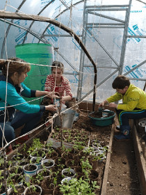 Мои помощники