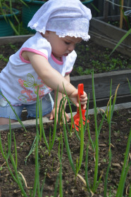 Наша огородница