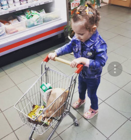 Поход за продуктами...очень важно!