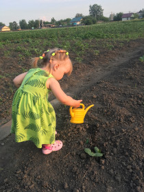 Что посеешь, то и пожнёшь!