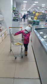 Любишь есть - люби и тележки возить