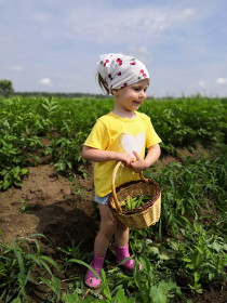 Сбор урожая!