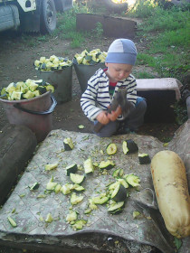 Без меня никак в хозяйстве