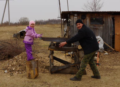 Малый рост заготовке дров не помеха