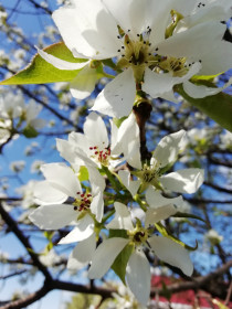 Дыхание весны в городе Райчихинск