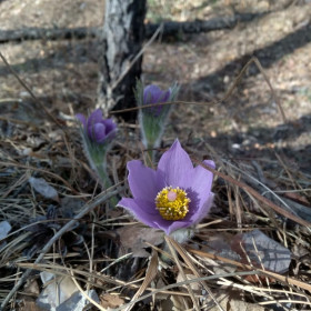 А вот и я! г.Циолковский