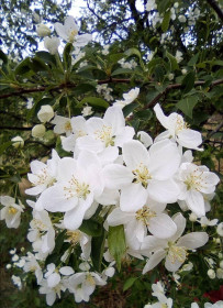 Весна пришла