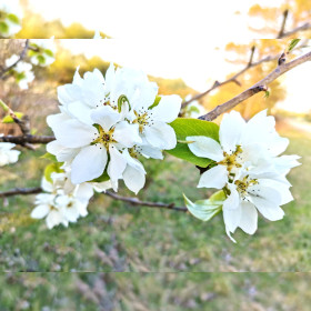 Красота в с. Знаменка