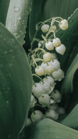 Весна пришла