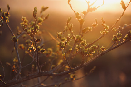 На закате...