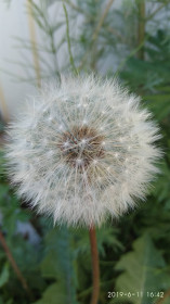 А у нас во дворе...