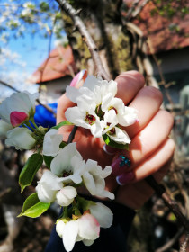 Весенняя красота