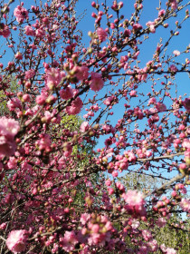 Краски весны