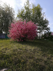 Красоты Амурской области