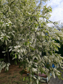 Красоты Амурской области
