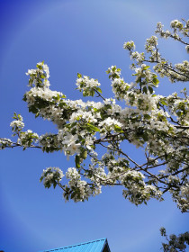 Красоты Амурской области