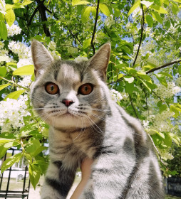 Первая прогулка!