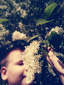 Ах, черемуха!