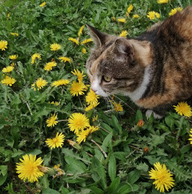 Пригрелись