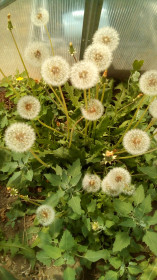 Я тоже красавчик