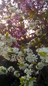 Полная идиллия