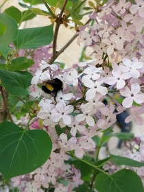 Весны намёки!