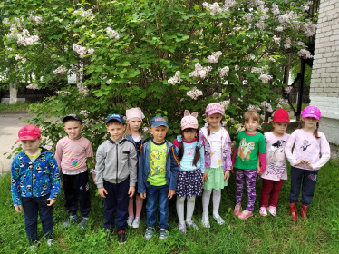 Сирень цветет