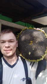 Семена краснодарские на Амурской зеvkt