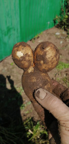 Картофель по-свободненски