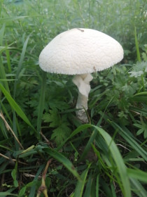 Когда руки не для скуки!