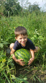 Арбузное счастье из села Егорьевка