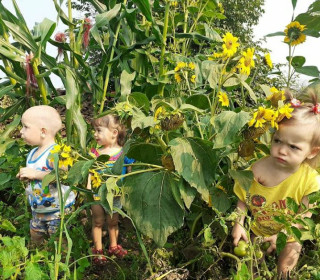 У бабушки на огороде