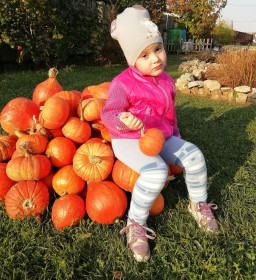 Выбираем тыкву для кареты)))
