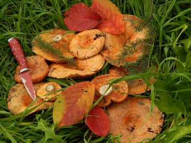 Амурский деликатес.