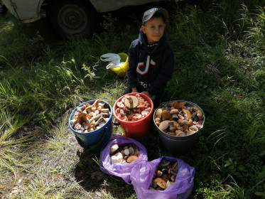 Чалгановские грибочки!