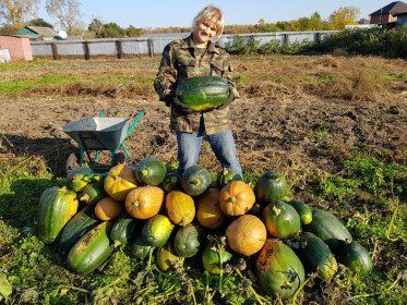 Тыквенной кашей обеспечены)