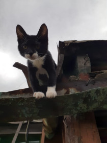 Семён, 8 месяцев. В ожидании марта исследует все уголки — ищет, где весна спряталась.  г. Благовещенск