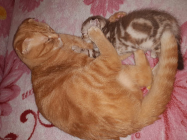 Тимоша 2 года и его доча Алиса 2 месяца