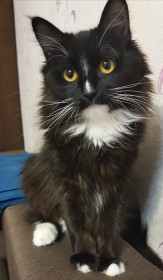 Самая лохматая Муха на свете, 1 год. п. Прогресс