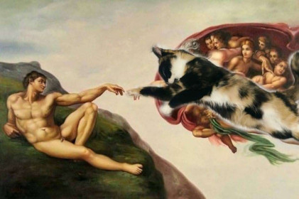 Спасённая с улицы Симба, примерно 7 месяцев, Благовещенск.