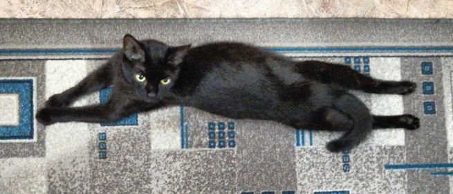 Малышка, 5 лет. Пьет только из своей кружки! г. Благовещенск