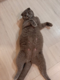 Дыма Тимофеевна, мне 1 годик. Скоро я стану мамой