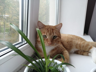 Тиша, 2 годика