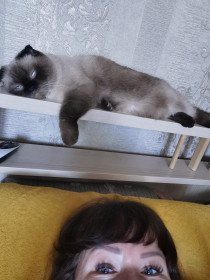 Кирочка, иначе Доча. 4,5 года. 5 кг. Мы никогда не зовём её на «кис-кис», а только по имени. Благодаря ей у нас дома тишь и благодать.